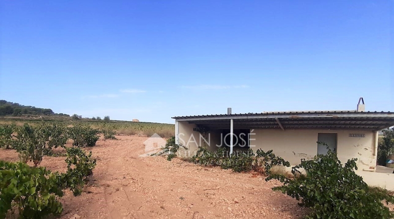 Murcia - Cañada de la Leña - 40000m2