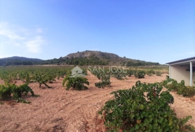 Favanella 40000&nbsp;m² 