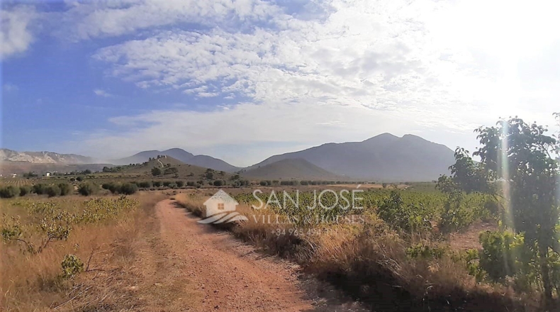 Murcia - Cañada de la Leña - 40000m2