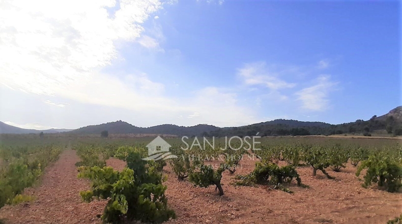 Murcia - Cañada de la Leña - 40000m2