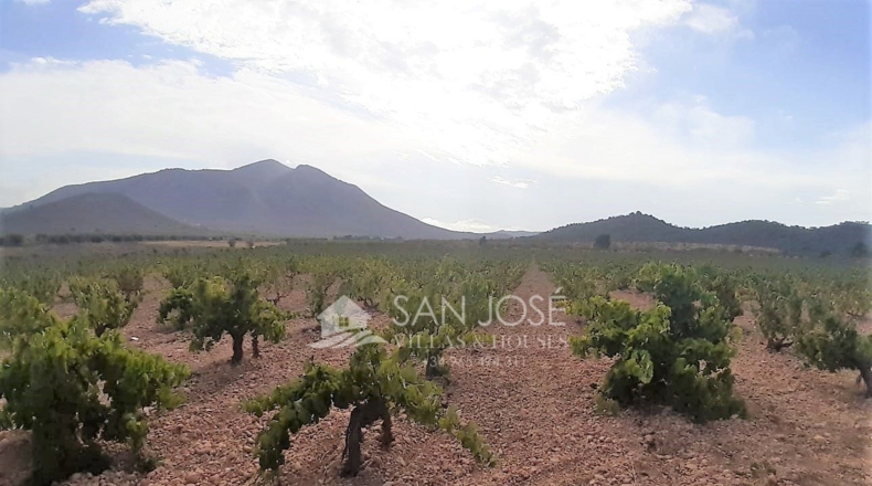 Murcia - Cañada de la Leña - 40000m2