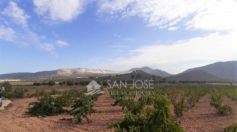 Murcia - Cañada de la Leña - 40000m2