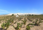Parcel·la urbanitzable en venda a la España, l'Alguenya, ref.: TR33002 foto
