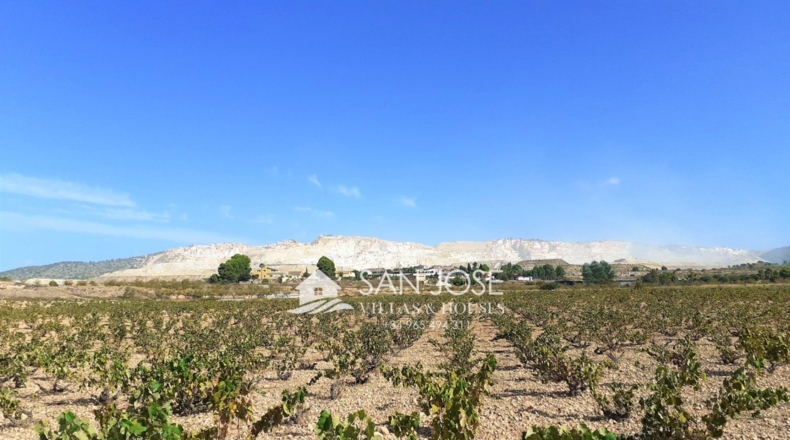 Alicante - Algueña - 30119m2