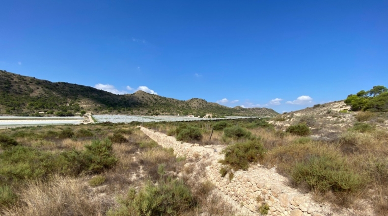 Alicante - Monforte del Cid - 28304m2