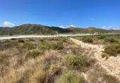 Terreny no urbanitzable en venda a la España, Montfort, ref.: TR8477 foto