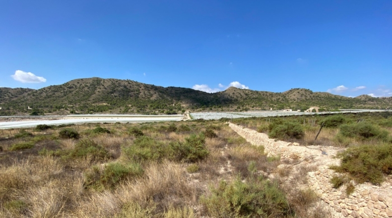 Alicante - Monforte del Cid - 28304m2