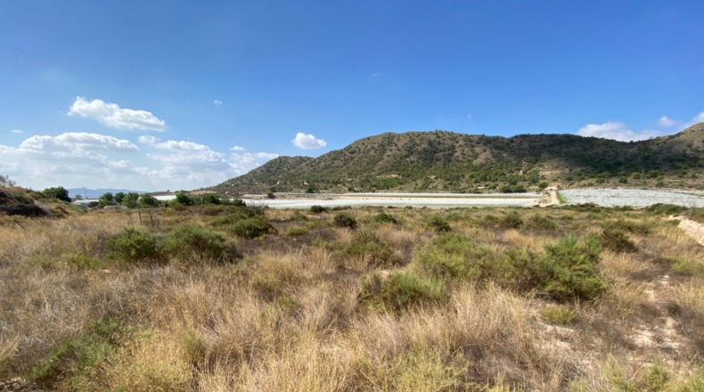 Alicante - Monforte del Cid - 28304m2