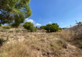 Terreny no urbanitzable en venda a la España, Montfort, ref.: TR8477 foto