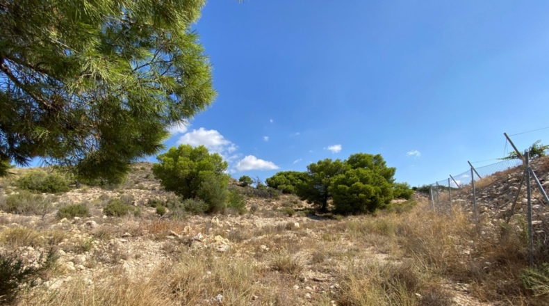 Alicante - Monforte del Cid - 28304m2