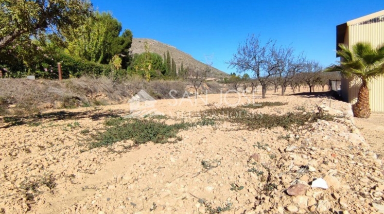 Alicante - Algueña - 14821m2