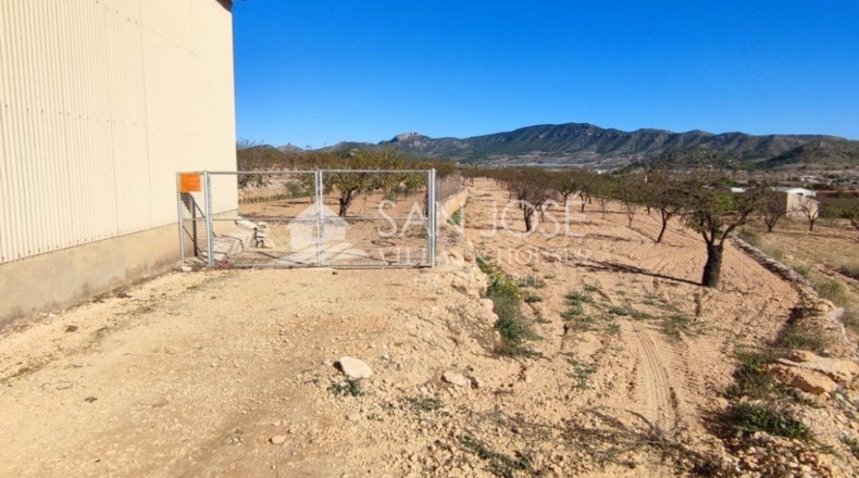 Alicante - Algueña - 14821m2