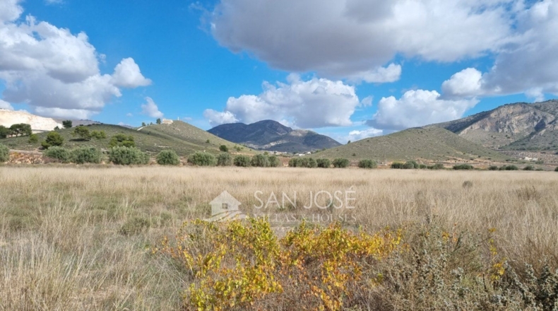Murcia - Abanilla - 18399m2