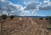 Terreny no urbanitzable en venda a la España, Favanella, ref.: TR32584 foto