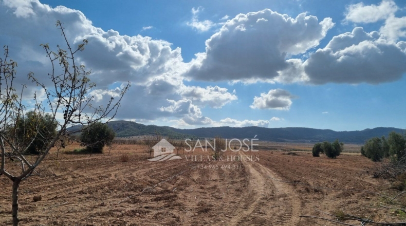 Alicante - Algueña - 51336m2
