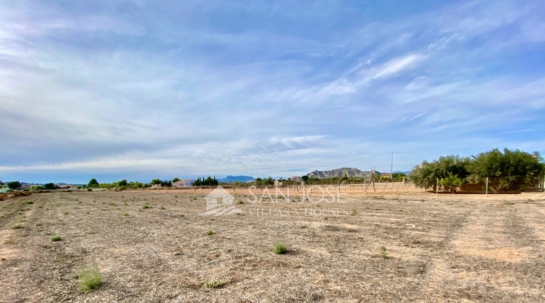 Alicante - Aspe - 5.336m2