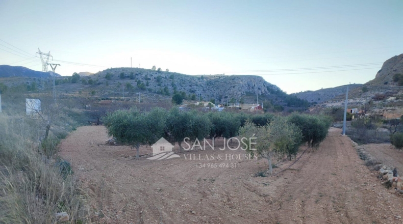 Alicante - la Romana - 14.149m2