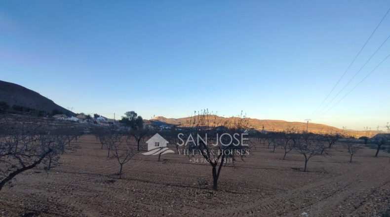 Alicante - la Romana - 14.149m2
