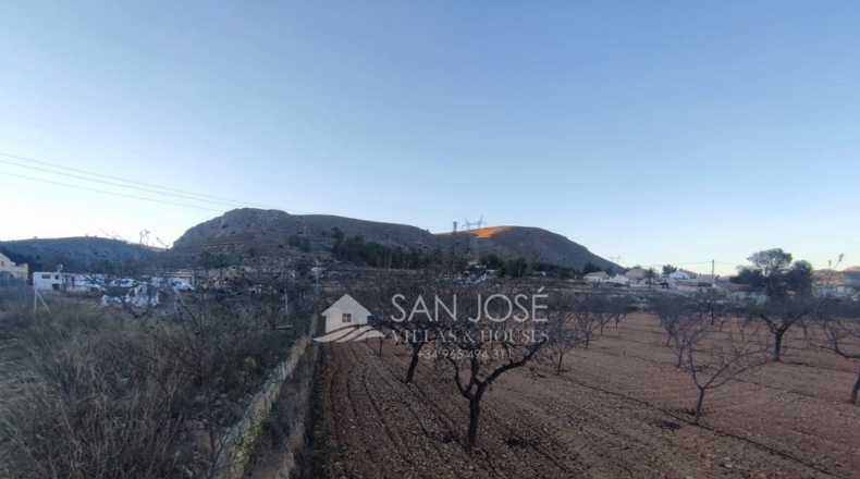 Alicante - la Romana - 14.149m2