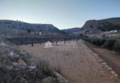 Land suitable for development for sale on España, La Romana, ref: TR33000 photo