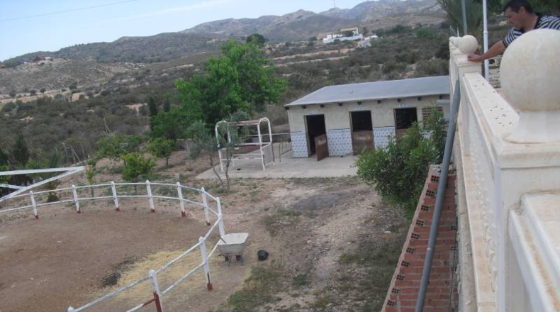 Alicante - Elche - 5300m2