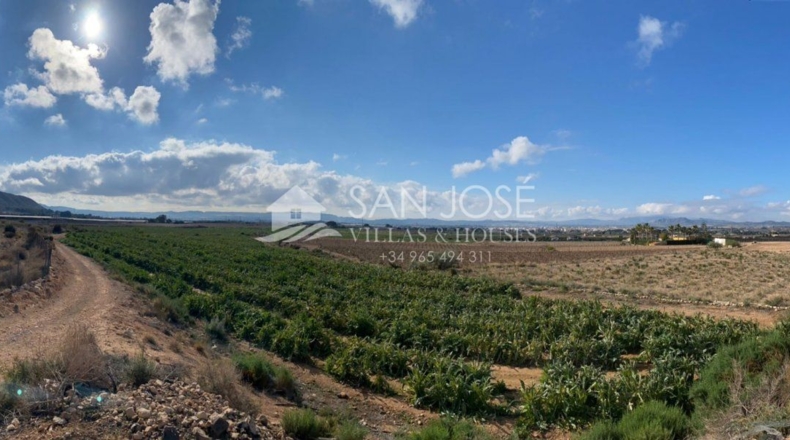 Alicante - Novelda - 11885m2