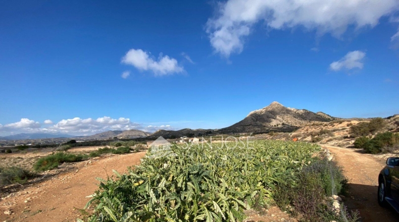 Alicante - Novelda - 11885m2
