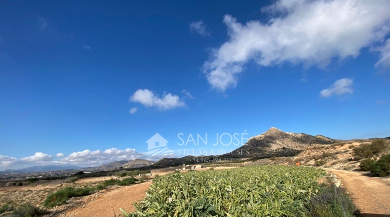 Alicante - Novelda - 11885m2