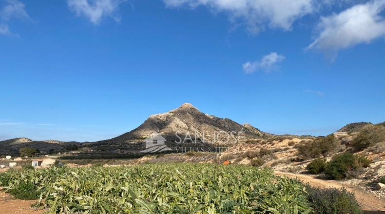 Alicante - Novelda - 11885m2