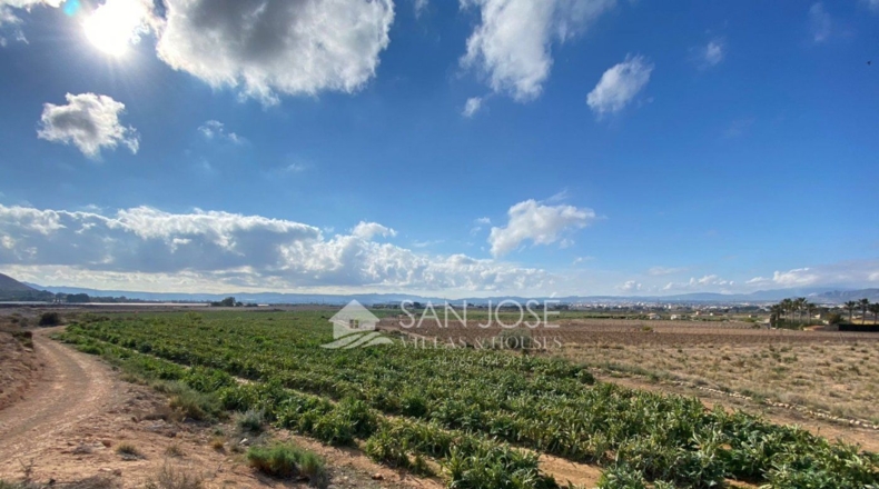 Alicante - Novelda - 11885m2