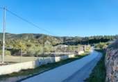 Terreny no urbanitzable en venda a la España, el Fondó de les Neus, ref.: TR39663 foto