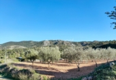 Terreny no urbanitzable en venda a la España, el Fondó de les Neus, ref.: TR39663 foto