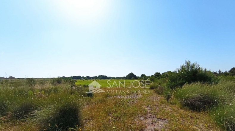 Alicante - Torrellano Alto - P3 - 10000m2