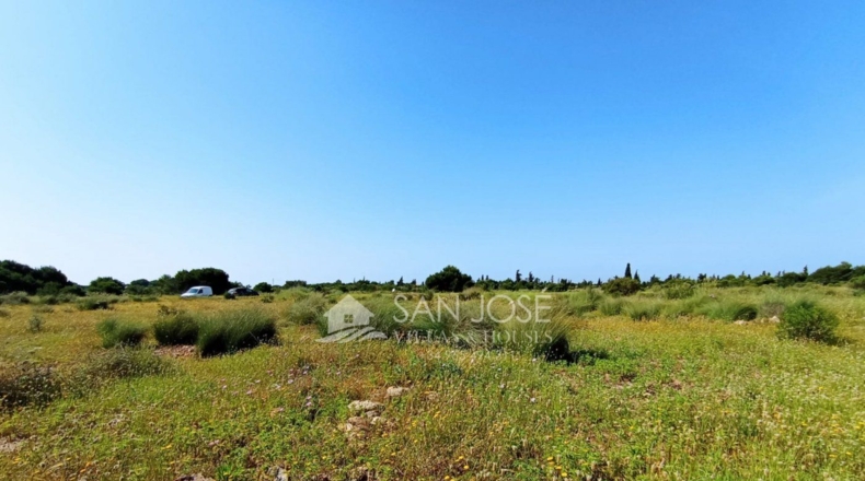 Alicante - Torrellano Alto - P3 - 10000m2