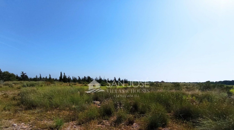 Alicante - Torrellano Alto - P3 - 10000m2