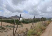 Xalet independent amb terreny en venda a la España, Asp, ref.: TR53448 foto