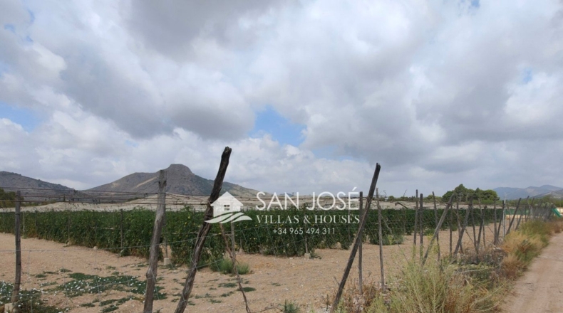 Alicante - Hondón de las Nieves - 15786m2