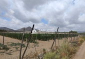 Xalet independent amb terreny en venda a la España, Asp, ref.: TR53448 foto