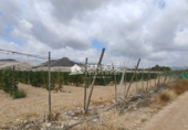 Xalet independent amb terreny en venda a la España, Asp, ref.: TR53448 foto