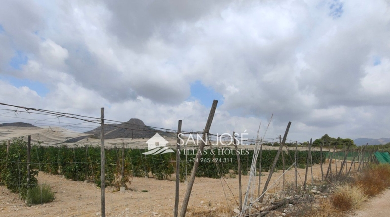 Alicante - Hondón de las Nieves - 15786m2
