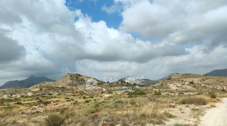 Alicante - Aspe - 19884m2