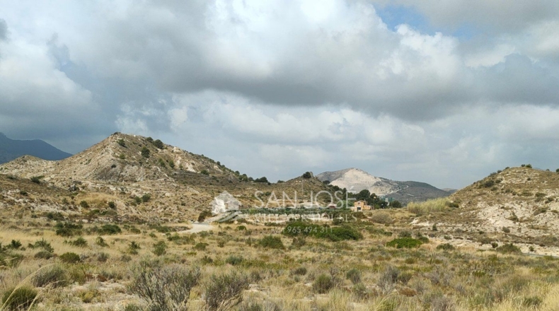Alicante - Aspe - 19884m2