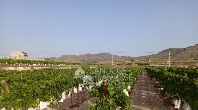 Alicante - Novelda - 17760m2