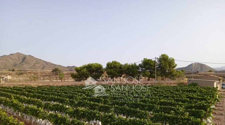 Alicante - Novelda - 17760m2