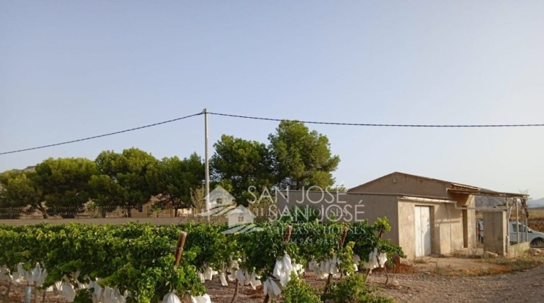 Alicante - Novelda - 17760m2