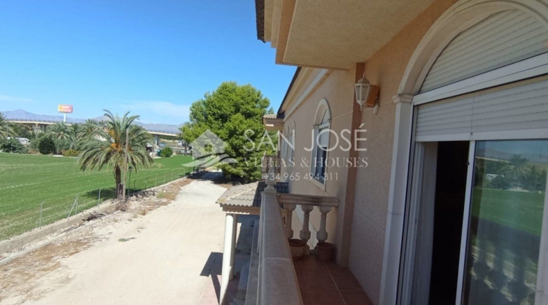 Alicante - Crevillente - 46909m2