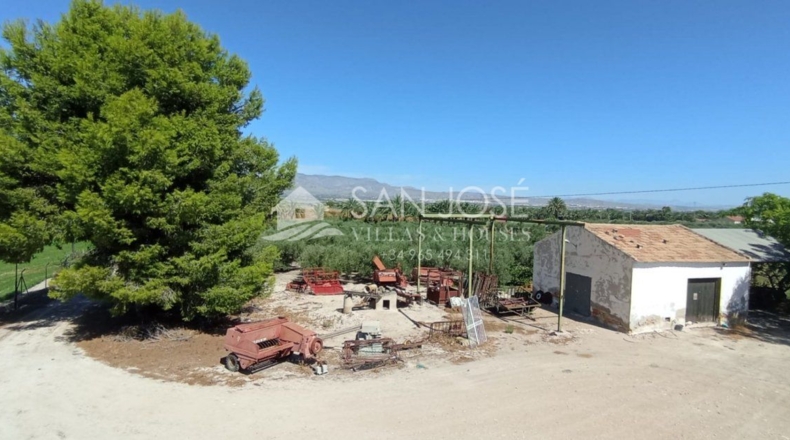 Alicante - Crevillente - 46909m2
