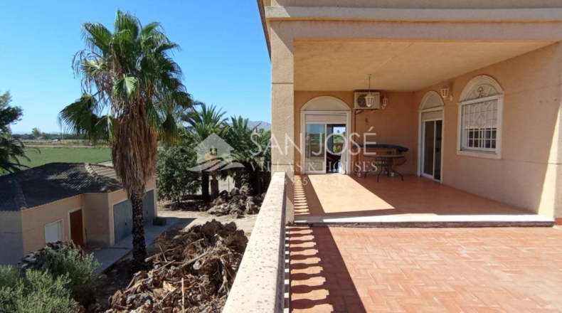 Alicante - Crevillente - 46909m2
