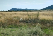 Terreny no urbanitzable en venda a la España, la Romana, ref.: TR57470 foto
