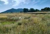 Terreny no urbanitzable en venda a la España, la Romana, ref.: TR57470 foto